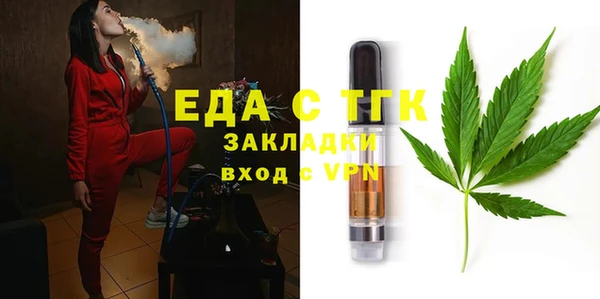 индика Богданович