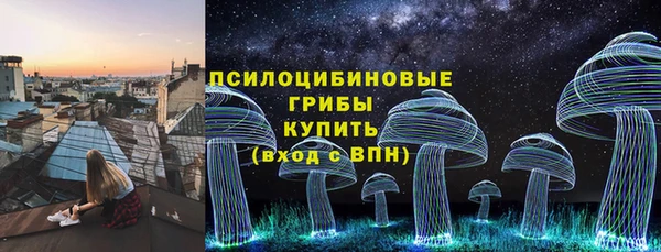 молекула духа Алапаевск