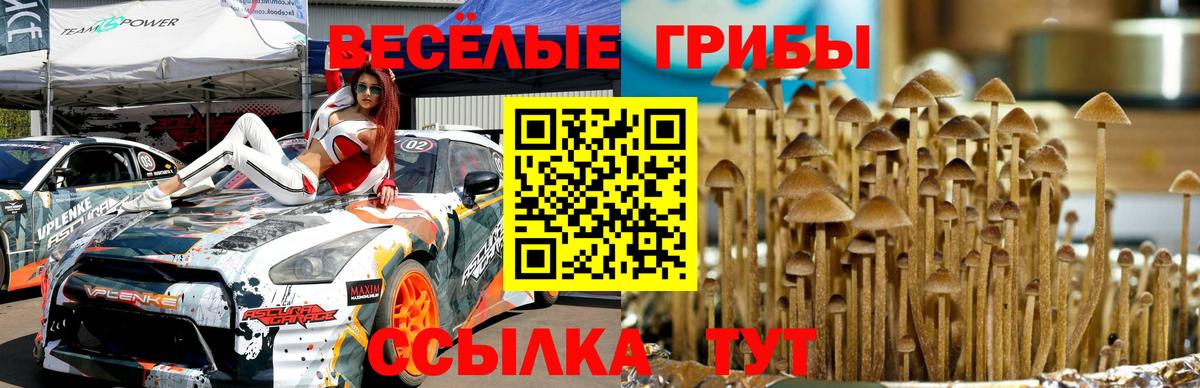 Галлюциногенные грибы MAGIC MUSHROOMS  что такое наркотик  Псилоцибиновые грибы Magic Shrooms  Кохма 