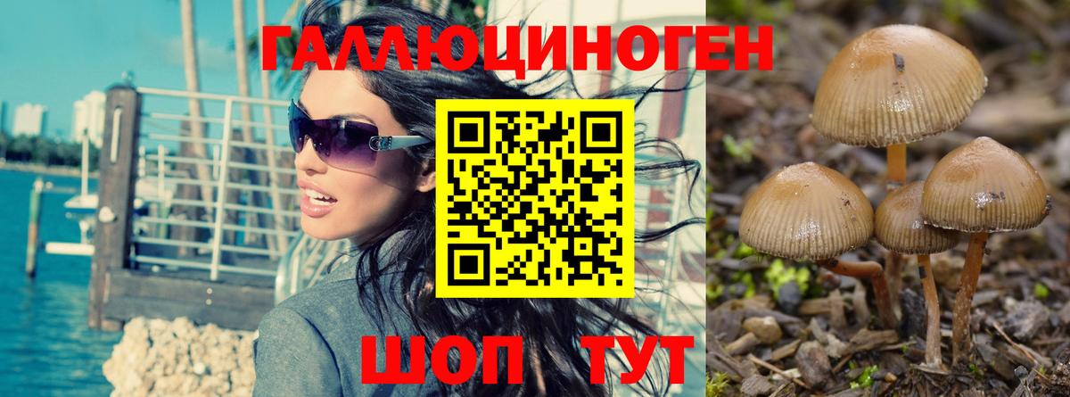 Кохма  Псилоцибиновые грибы Magic Shrooms  Вход с VPN 